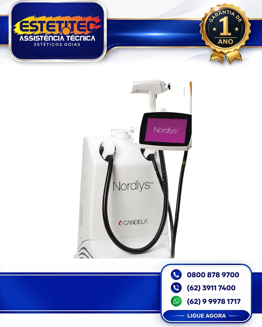 ESPECIALIZADA CANDELA NORDLYS MATO GROSSO DO SUL